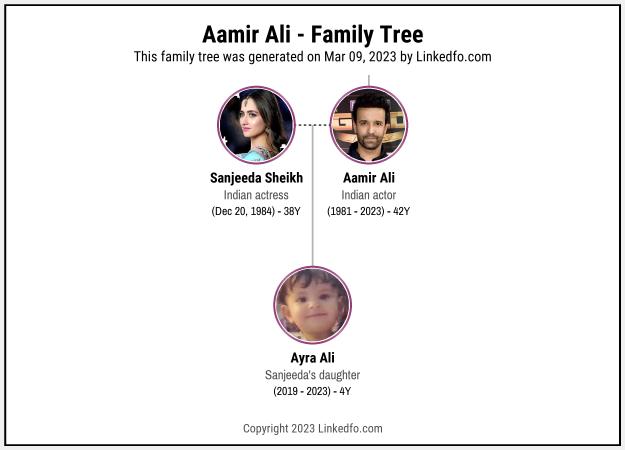 Aamir Ali's Family Tree