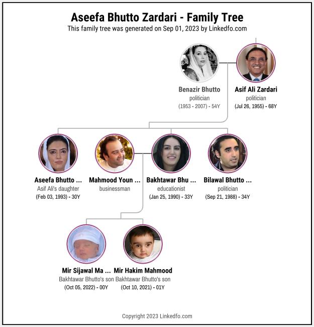 Aseefa Bhutto Zardari's Family Tree