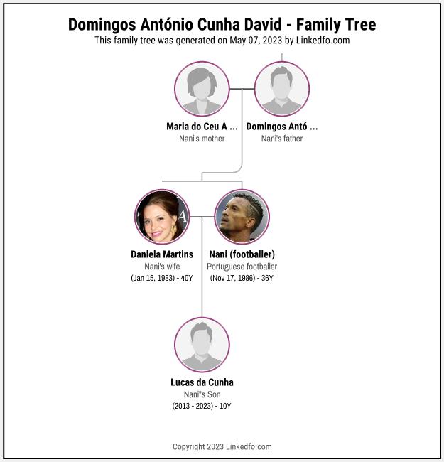 Domingos António Cunha David's Family Tree