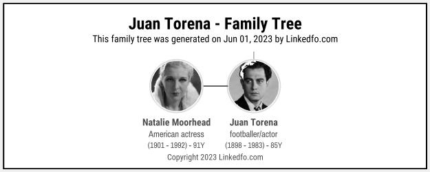 Juan Torena's Family Tree