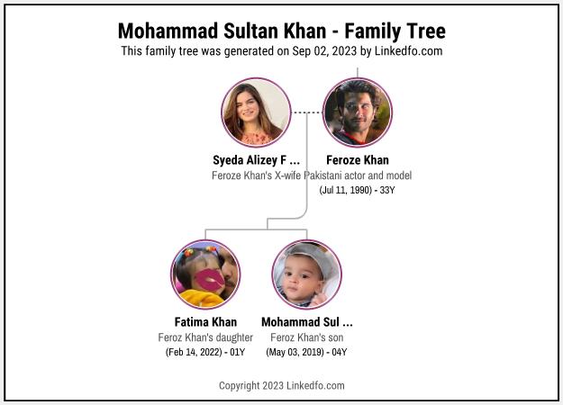 Mohammad Sultan Khan's Family Tree