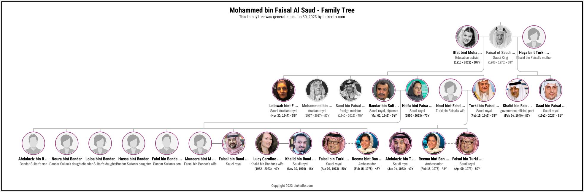 Mohammed bin Faisal Al Saud's Family Tree