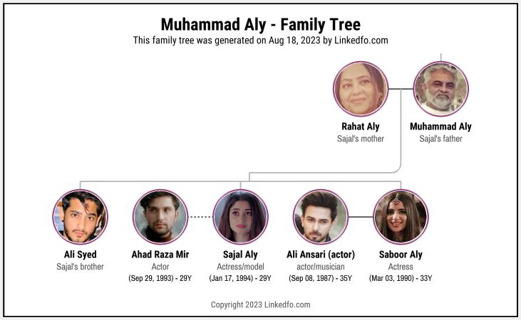 Muhammad Aly's Family Tree